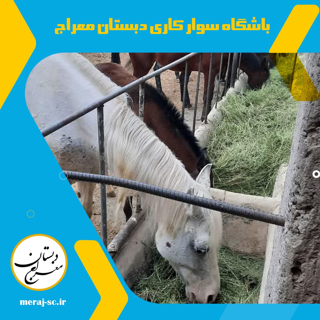 باشگاه سوار کاری دبستان معراج