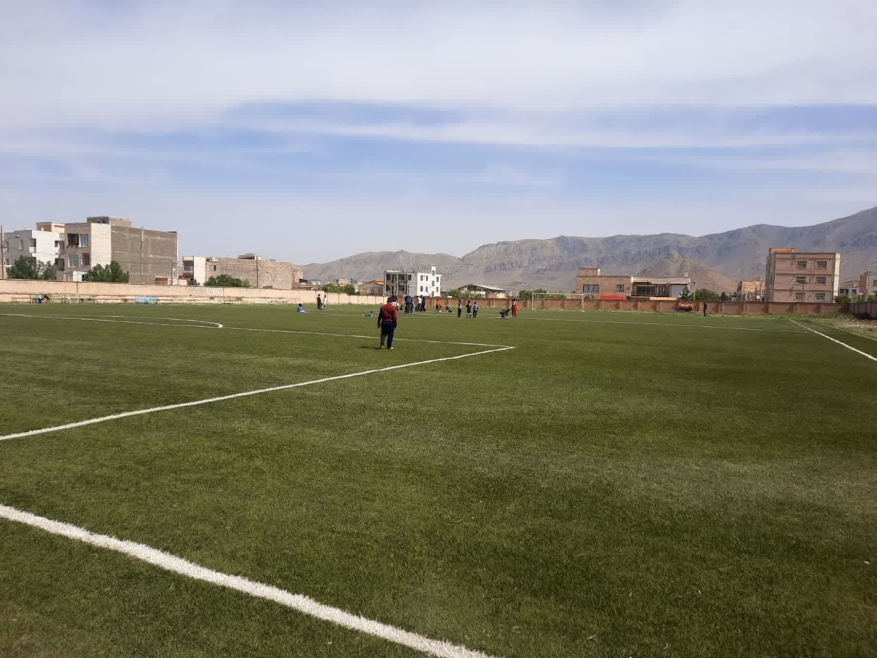 حضور در زمین چمن بصورت هفتگی